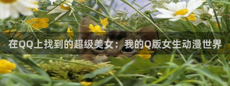 日本动漫火狼动漫网