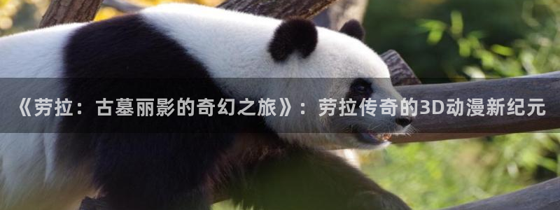 火狼影院动漫在线观看
