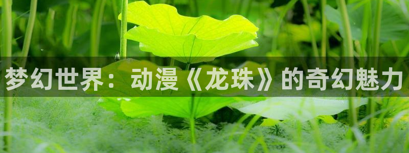 火狼动漫官网入口