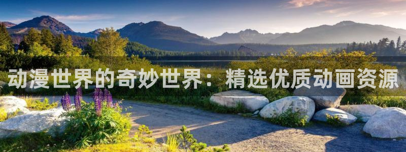 火狼动漫免费观看：动漫世界的奇妙世界：精选优质动画资源